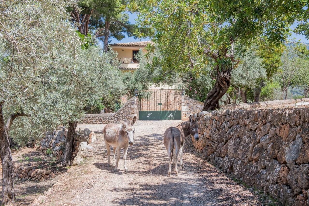 Raco De Soller Villa Bagian luar foto