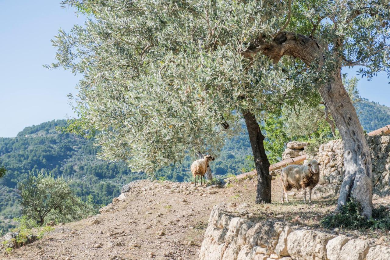 Raco De Soller Villa Bagian luar foto